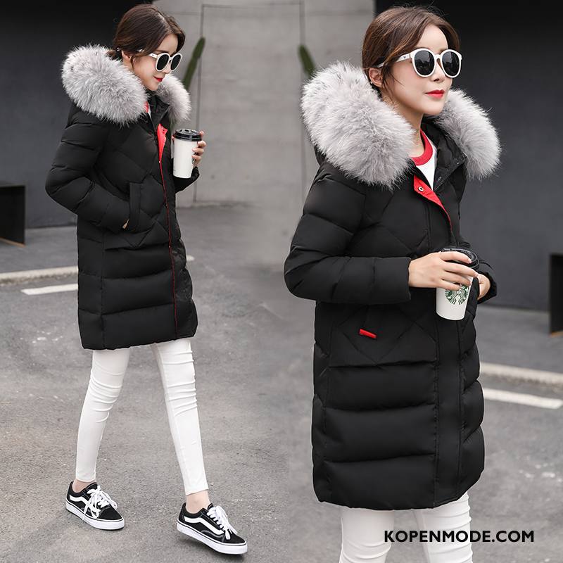 Donsjassen Dames Trend Winter Rits Lang Lange Mouwen Mode Effen Kleur Grijs Licht