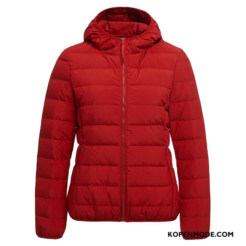 Donsjassen Dames Vrouwen Lichte En Dun Kort Warme Casual Winter Rood