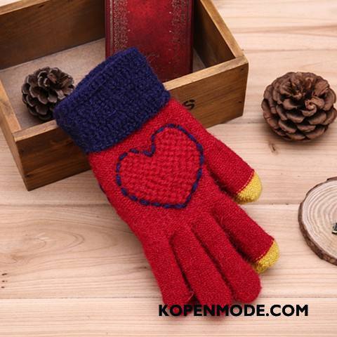 Handschoenen Dames Wol Breien Vrouwen Winter Liefde Geborduurde Blauw