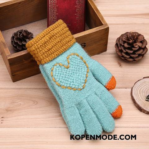 Handschoenen Dames Wol Breien Vrouwen Winter Liefde Geborduurde Blauw