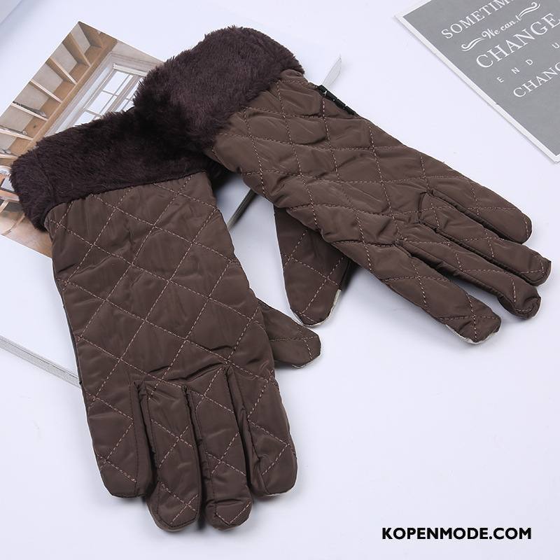 Handschoenen Heren Outdoor Groot Fijne Blijf Warm Touchscreen Geruit Bruine