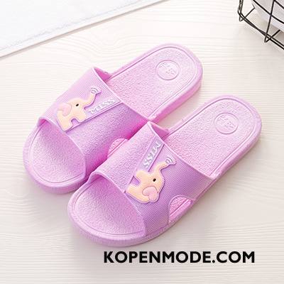 Pantoffels Dames Slippers Spotprent Mannen Zomer Vrouwen Badkamer Licht