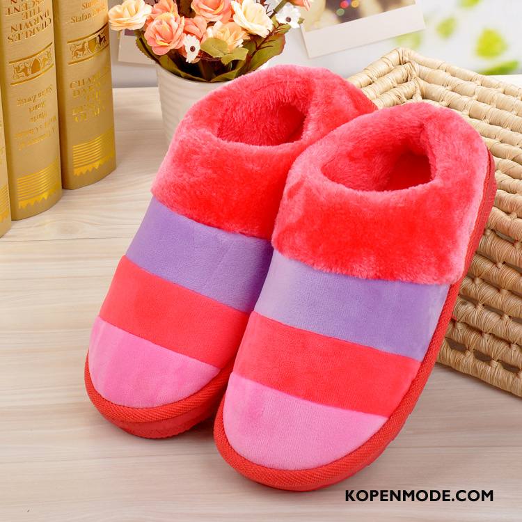 Pantoffels Dames Slippers Vrouwen Katoen Comfortabele Schoenen Lovers Purper