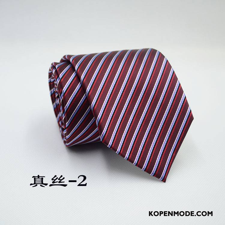 Stropdassen Heren Zijde Business Geklede Mannen Blauw