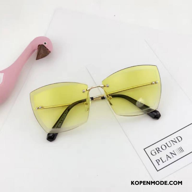 Zonnebrillen Dames Vrouwen Trend Nieuw 2018 Mode Kleurverloop Roze