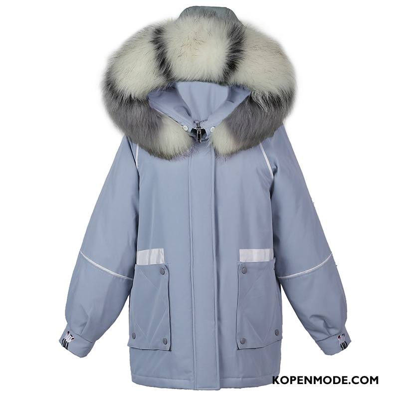 Katoenen Jas Dames Comfortabele Eenvoudige Winter Kort Vrouwen Warme Blauw