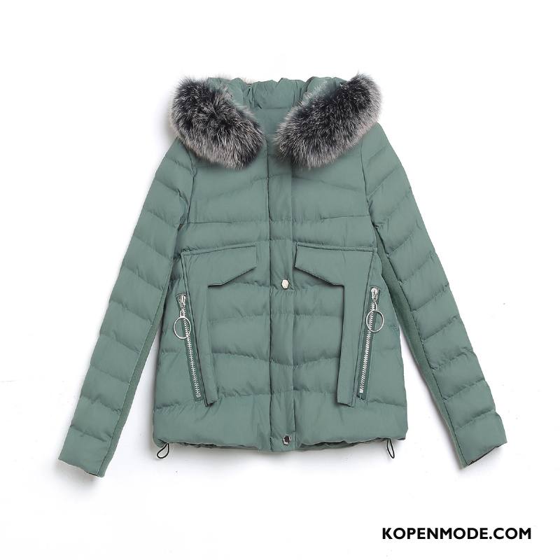 Katoenen Jas Dames Kort Winter Elegante Mode Slim Fit Dunne Grijs Groen