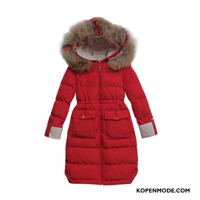 Katoenen Jas Dames Winter Kleding Slim Fit Vrouwen Lang Nieuw Rood