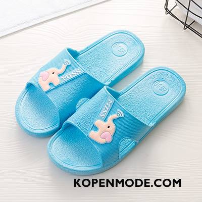 Pantoffels Dames Slippers Spotprent Mannen Zomer Vrouwen Badkamer Licht