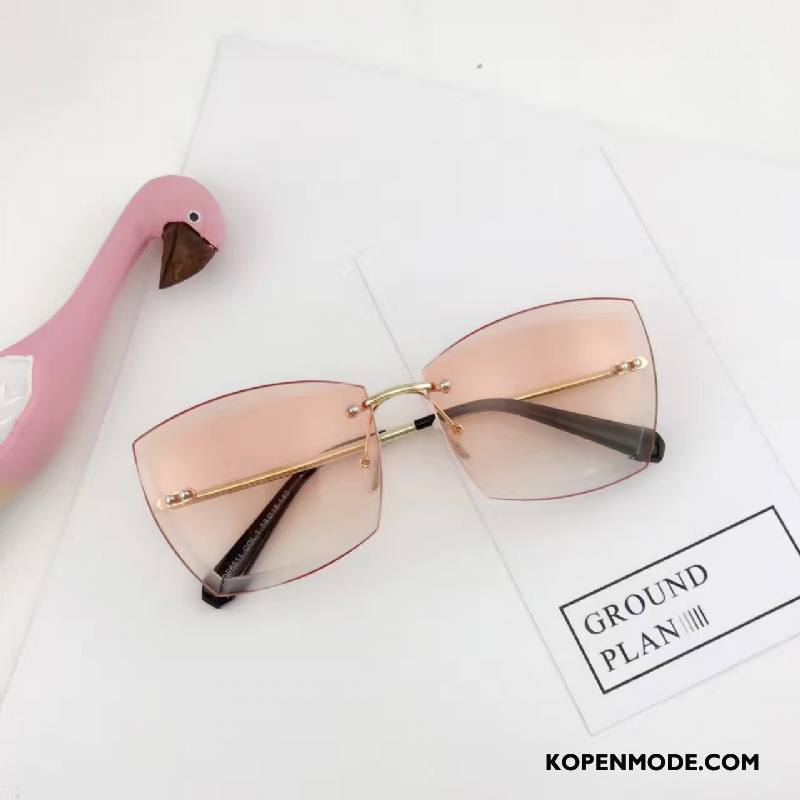 Zonnebrillen Dames Vrouwen Trend Nieuw 2018 Mode Kleurverloop Roze